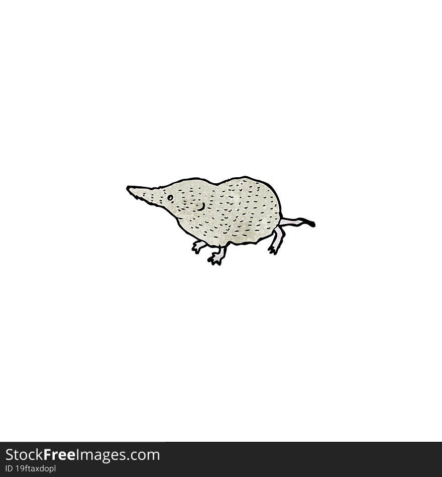 Shrew Illustration