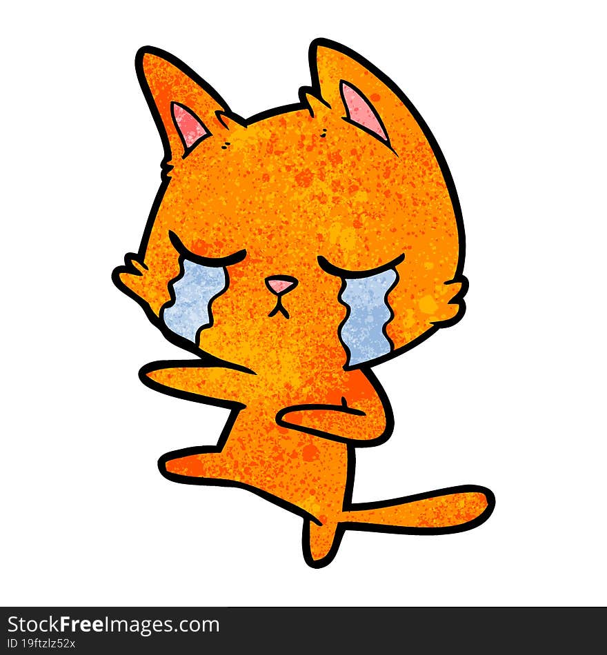 crying cartoon cat dancing. crying cartoon cat dancing