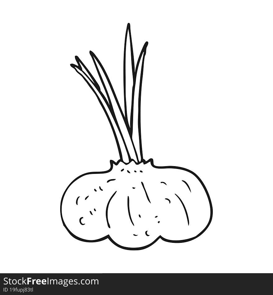 Black And White Cartoon Garlic Bulb