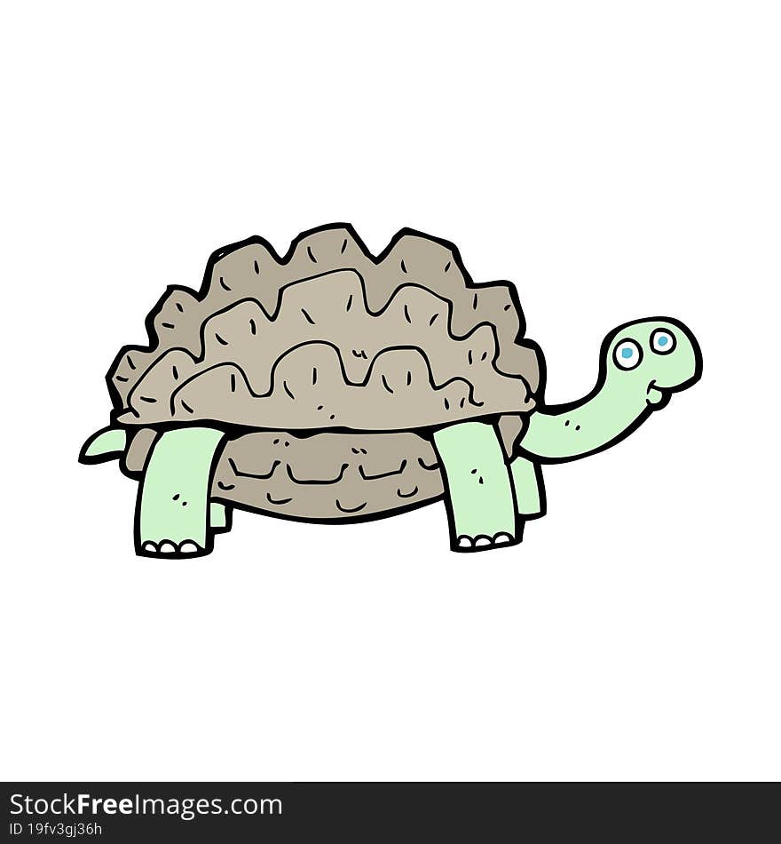 cartoon tortoise