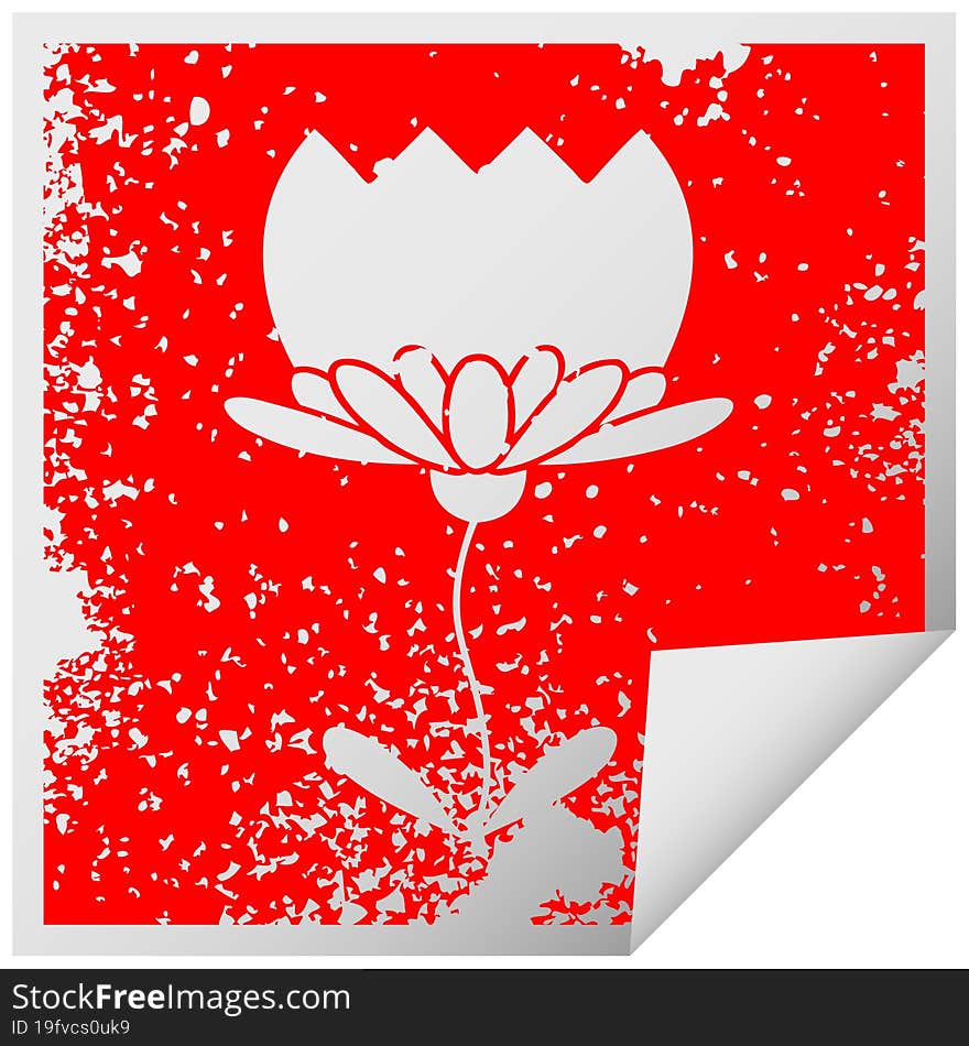 distressed square peeling sticker symbol flower