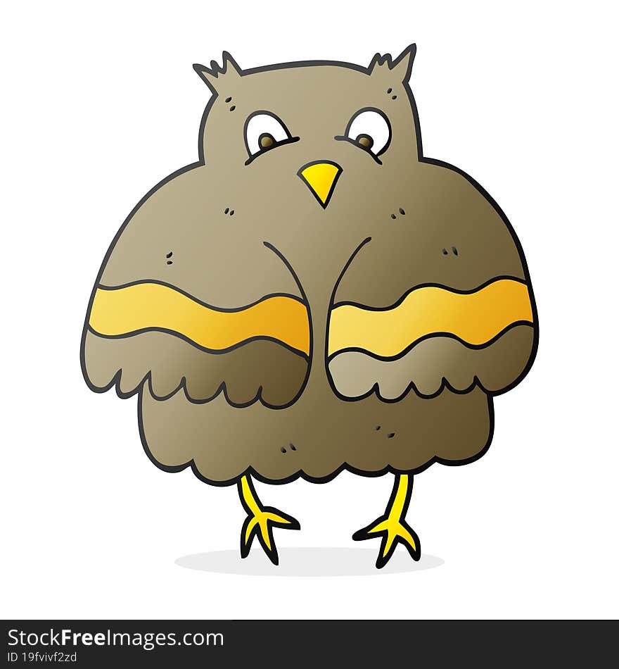 Cartoon Owl