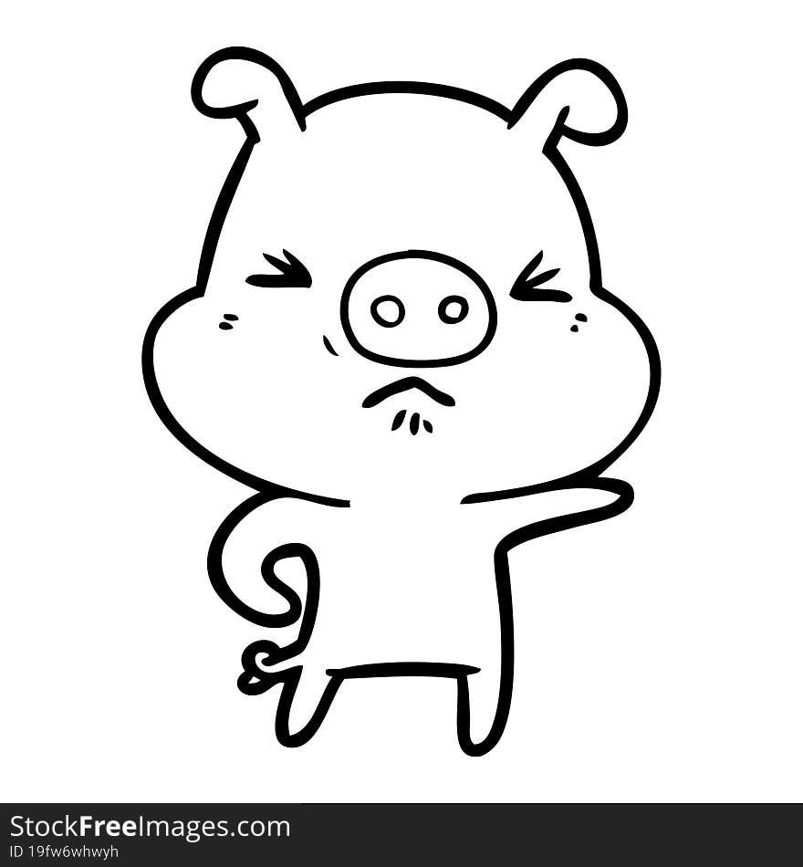 cartoon angry pig. cartoon angry pig