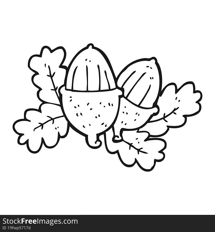 black and white cartoon acorns