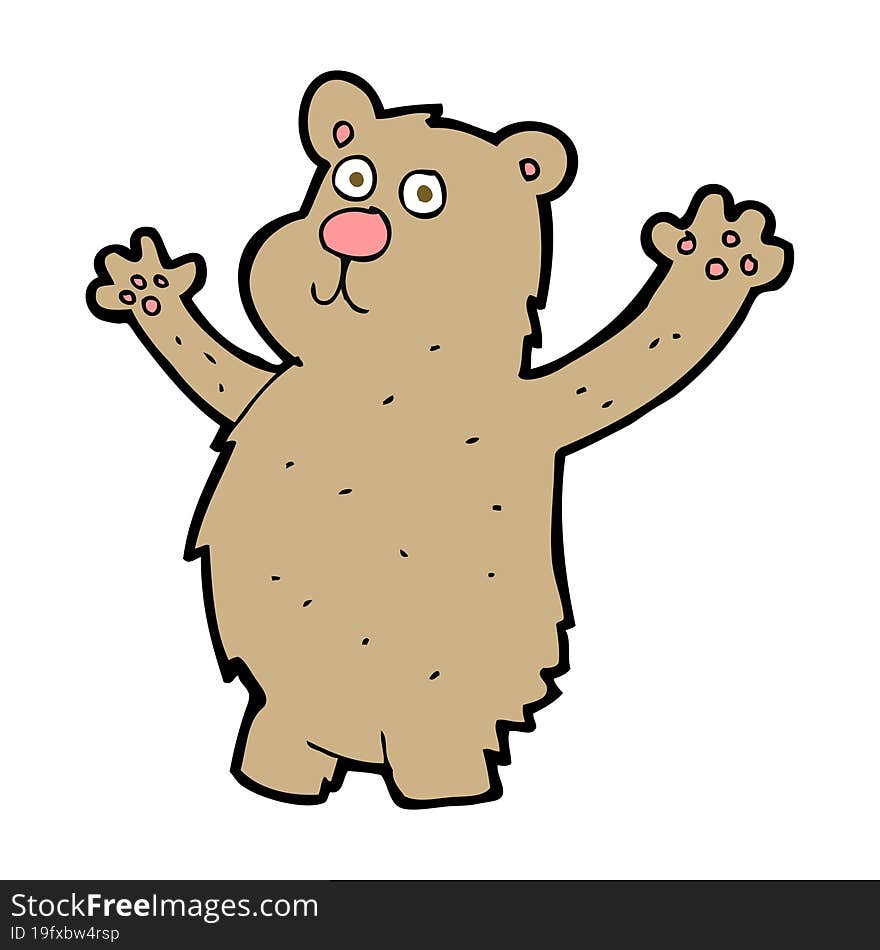 Cartoon Funny Bear