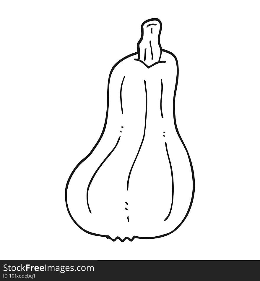 cartoon squash