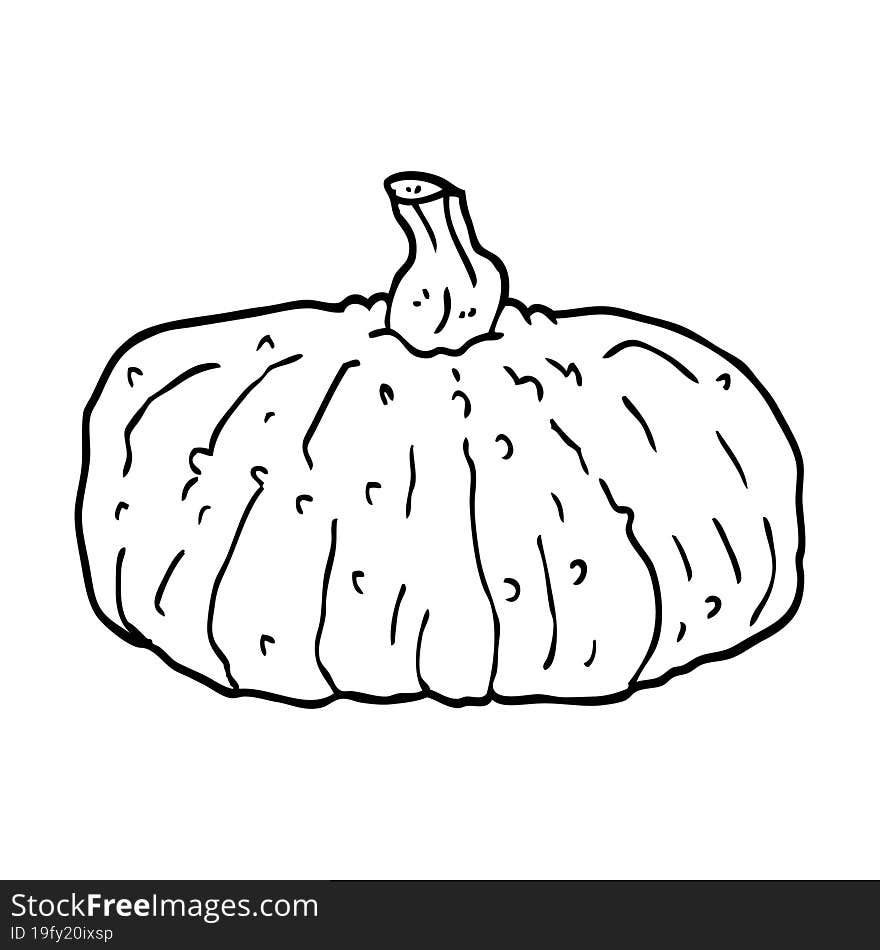 Line Drawing Cartoon Squash