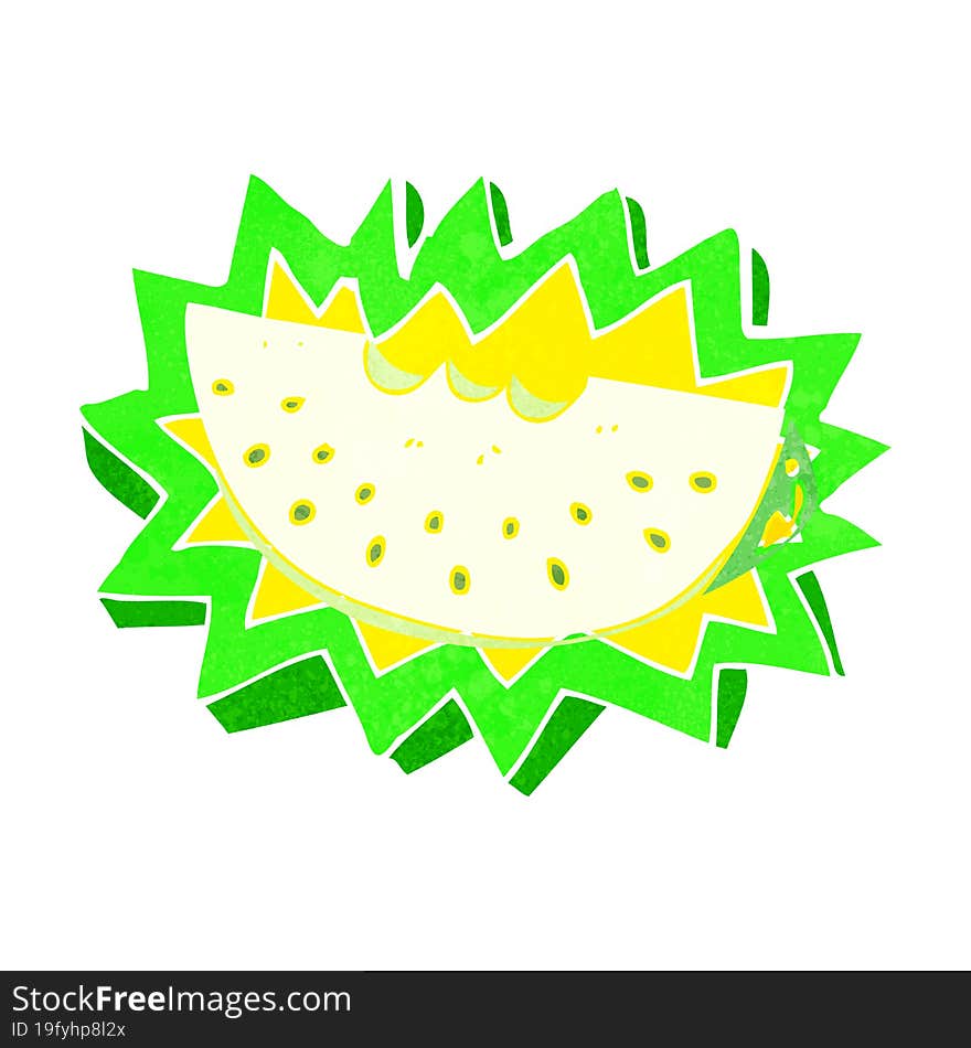 cartoon melon slice