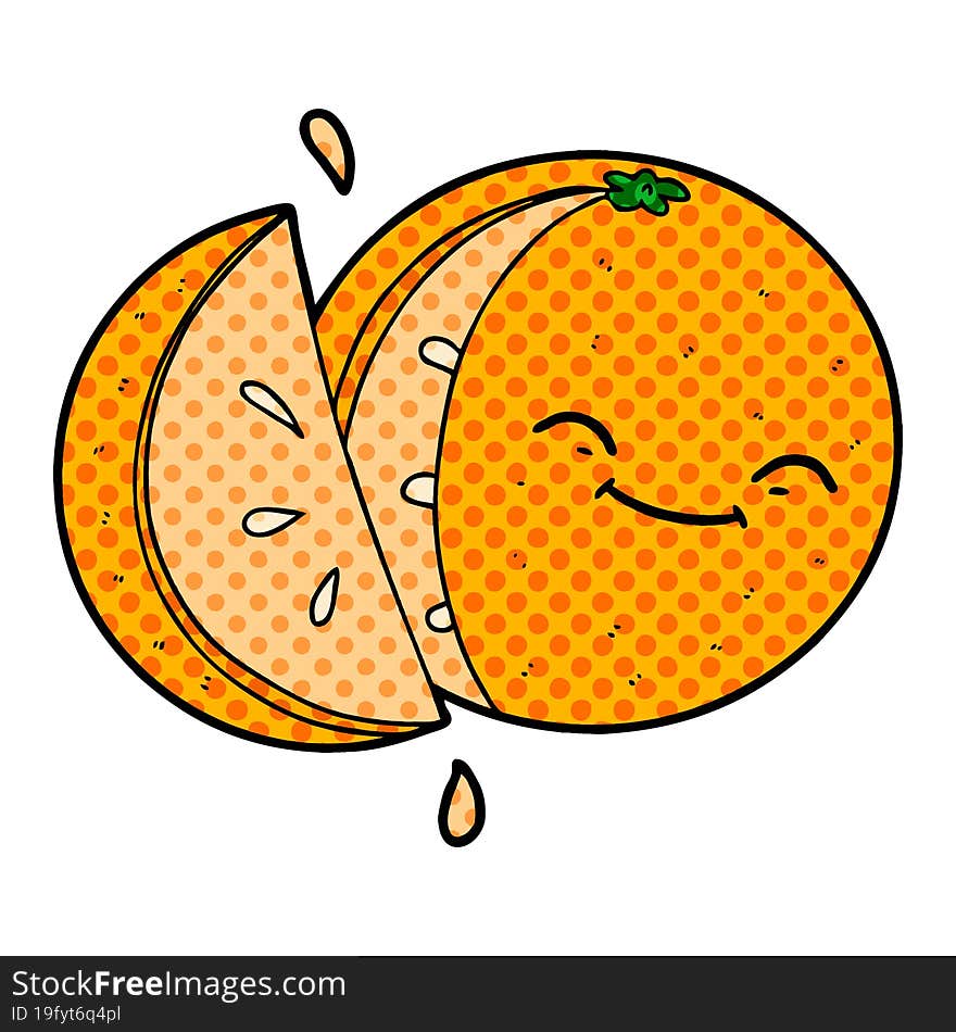 cartoon sliced orange. cartoon sliced orange