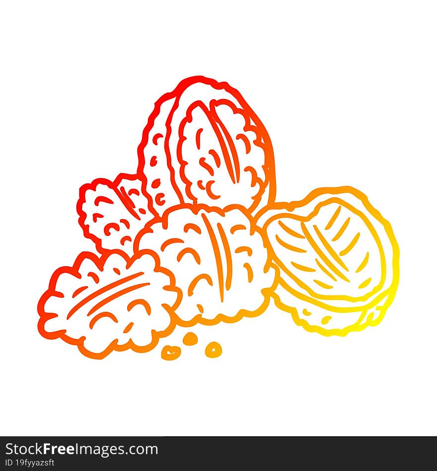 Warm Gradient Line Drawing Walnuts