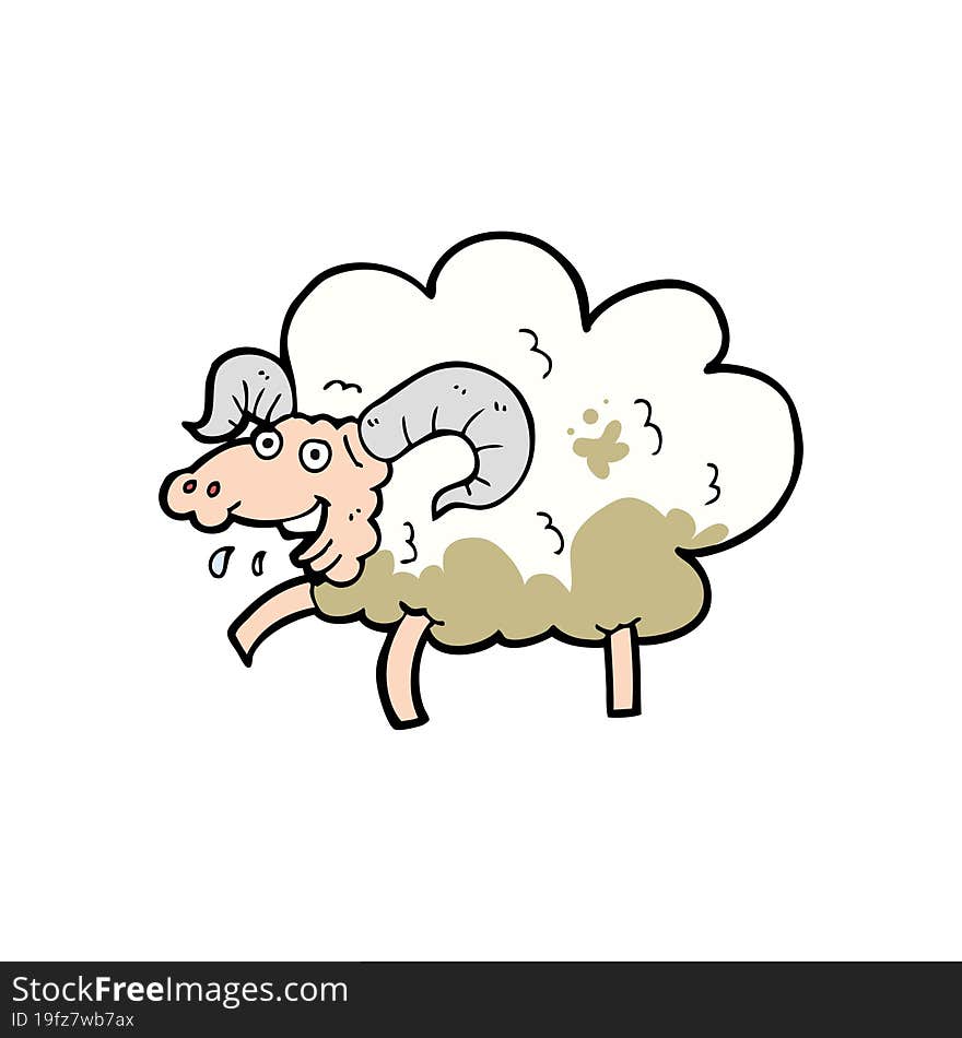 Cartoon Sheep