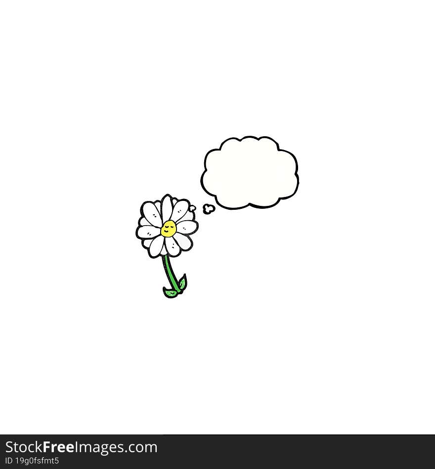 cartoon daisy