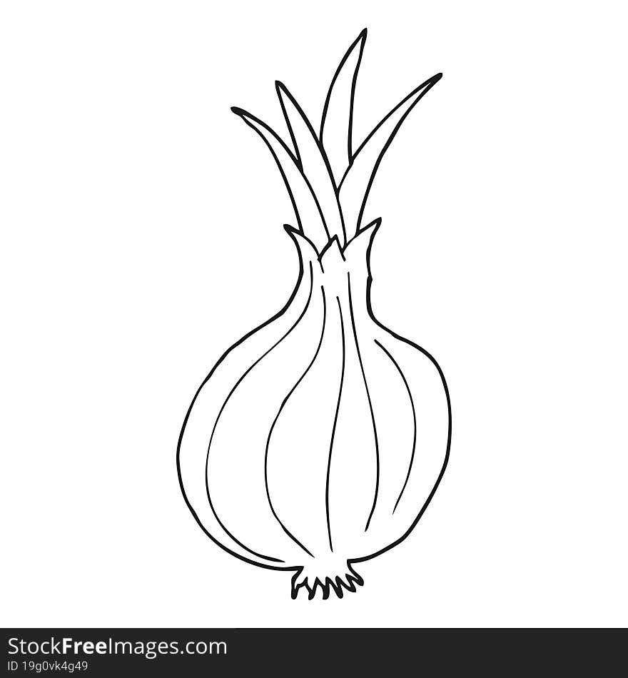 black and white cartoon onion