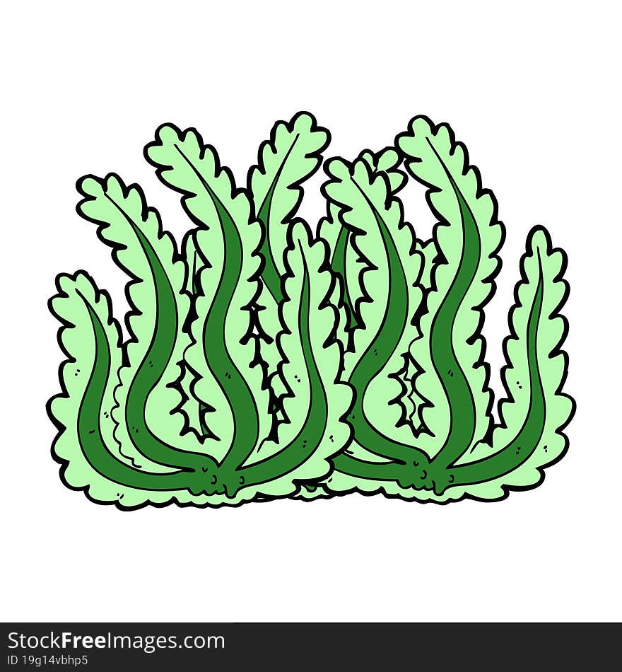 Cartoon Seaweed