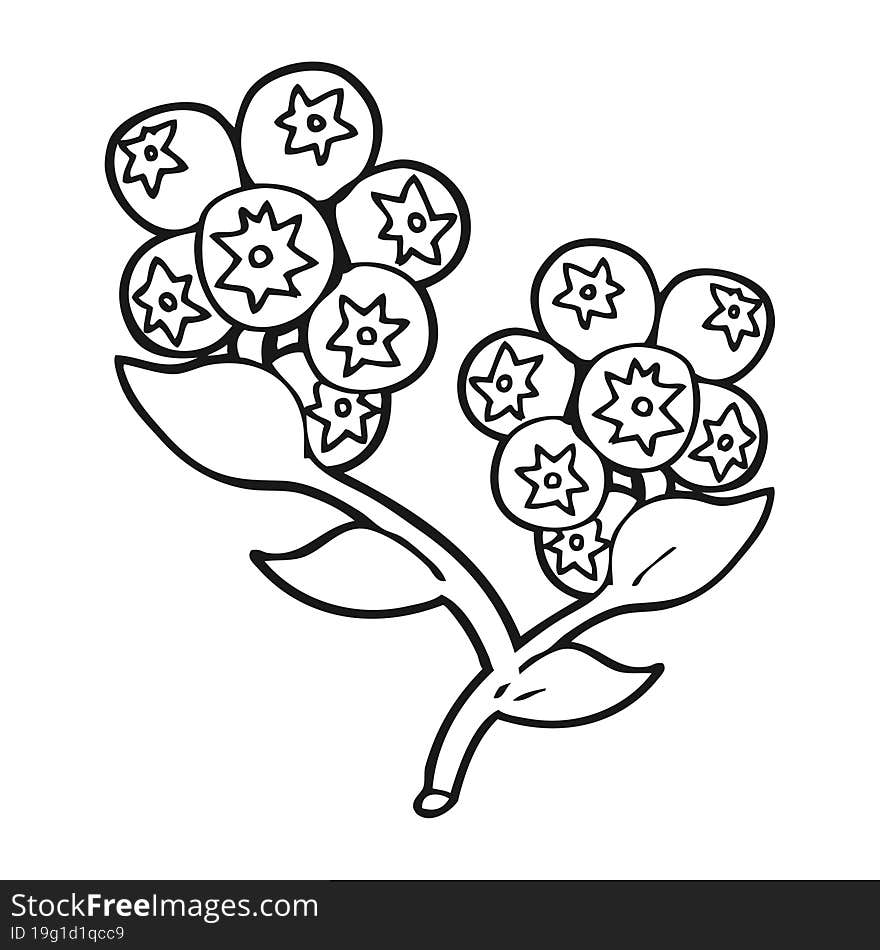 black and white cartoon blueberries