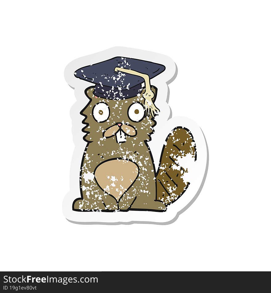 Retro Distressed Sticker Of A Cartoon Beaver Graduate