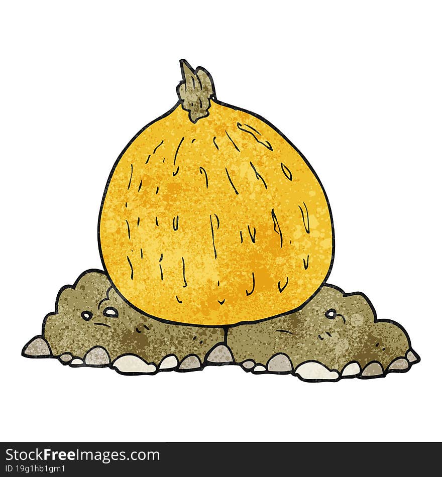 Textured Cartoon Squash