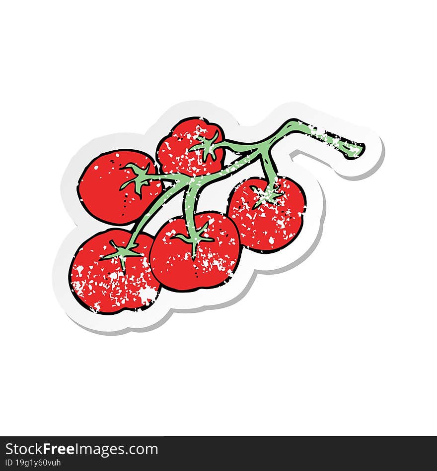 retro distressed sticker of a tomatoes on vine illustration