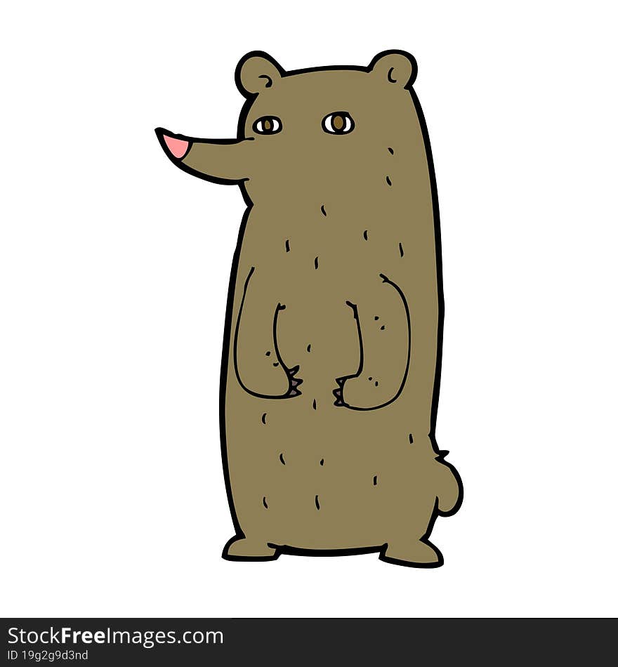 Funny Cartoon Bear