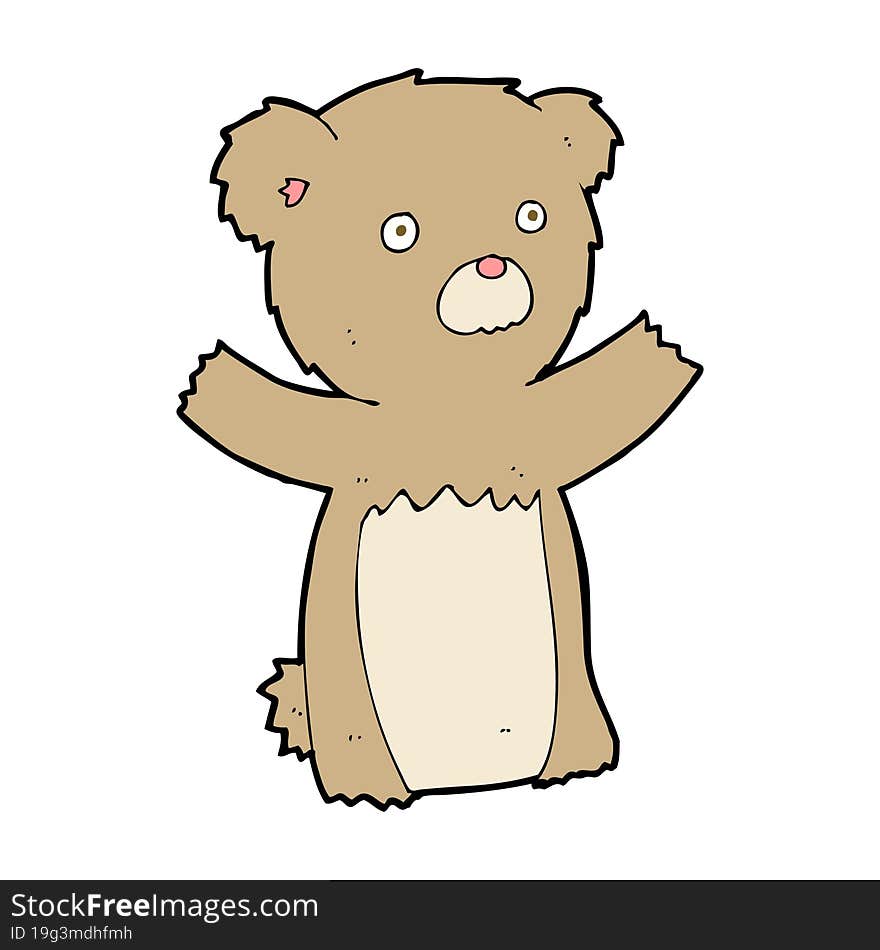 Cartoon Teddy Bear