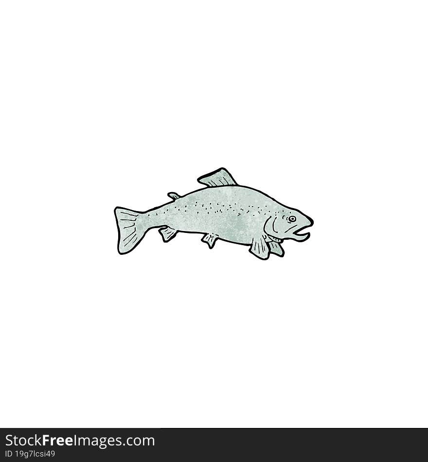 fish illustration