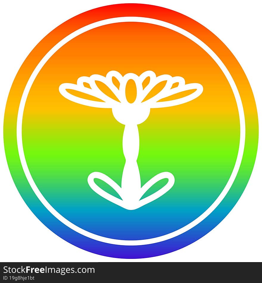 blooming flower circular in rainbow spectrum