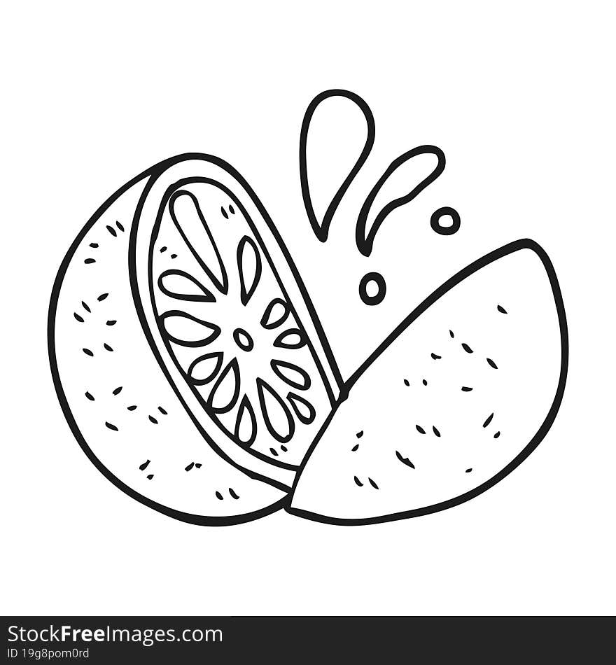 freehand drawn black and white cartoon melon