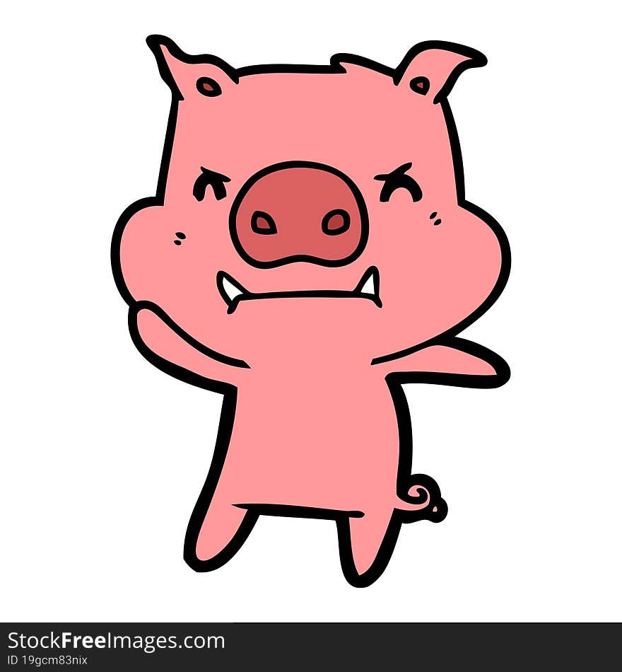 angry cartoon pig. angry cartoon pig