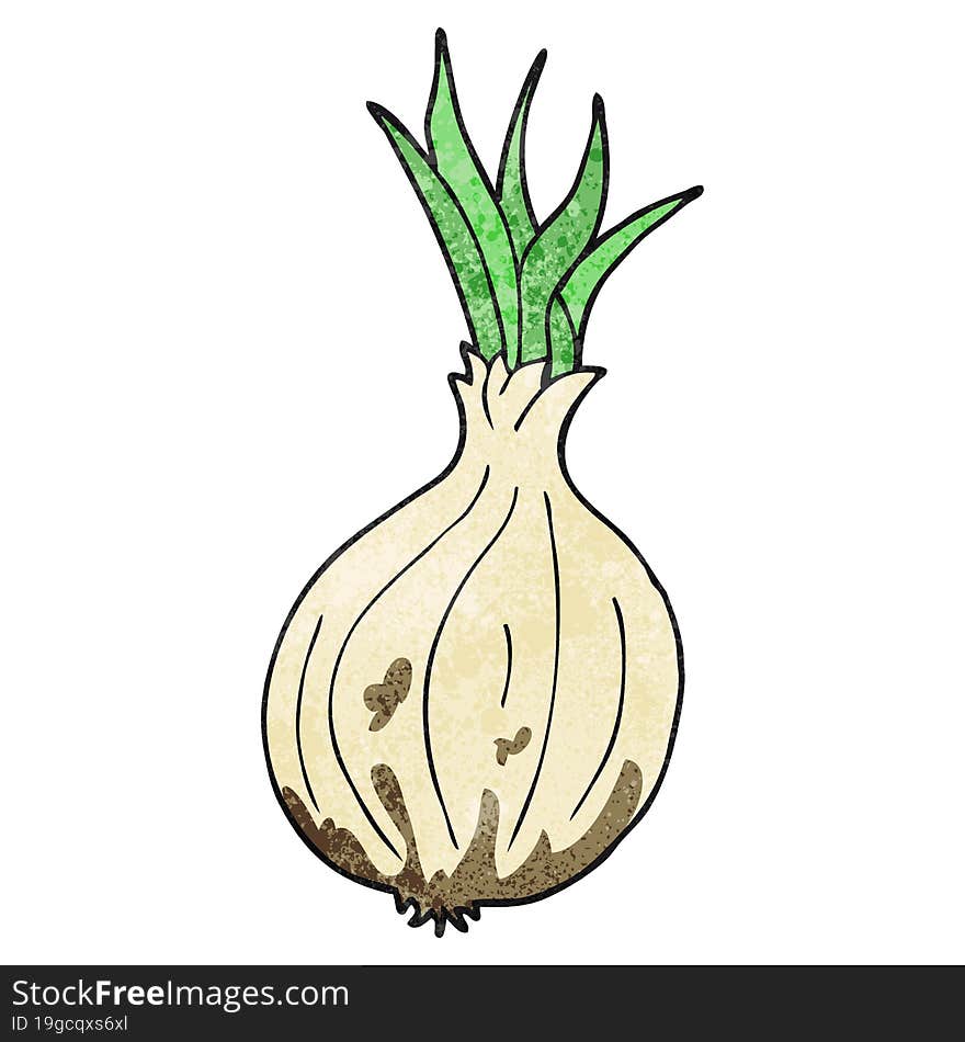 texture cartoon onion