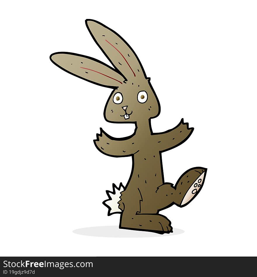 Cartoon Rabbit