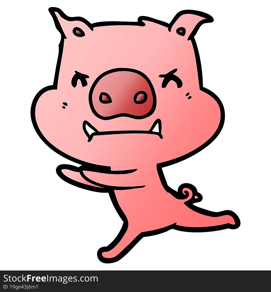 angry cartoon pig. angry cartoon pig