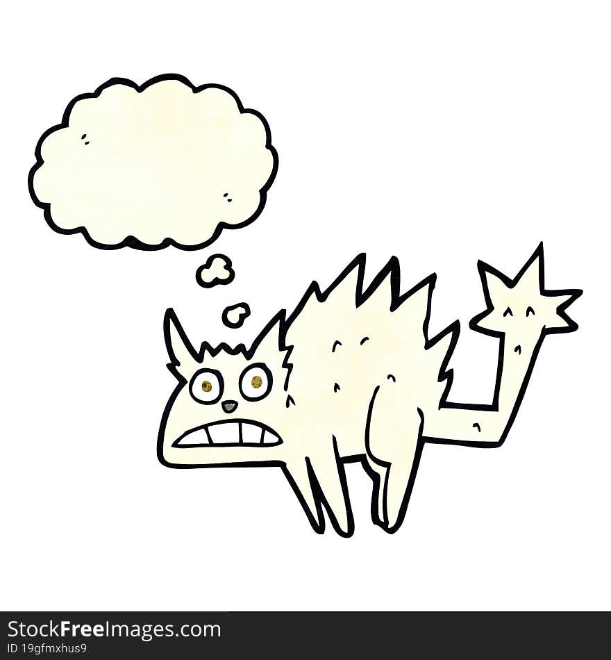 cartoon frightened cat with thought bubble