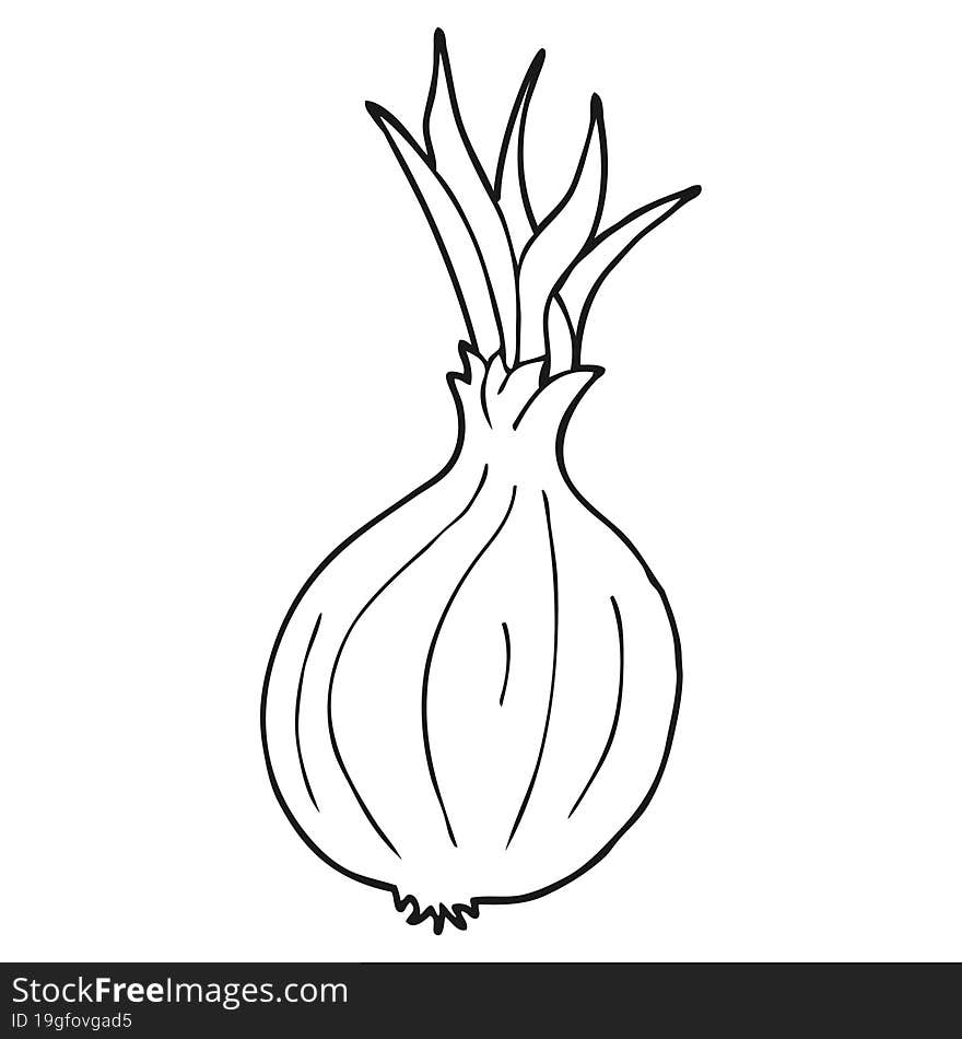 freehand drawn black and white cartoon onion