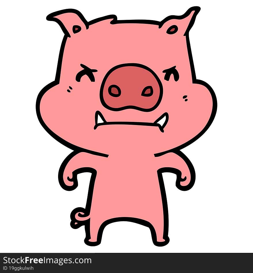 angry cartoon pig. angry cartoon pig