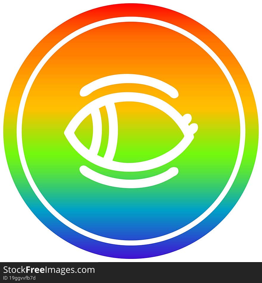 staring eye circular in rainbow spectrum