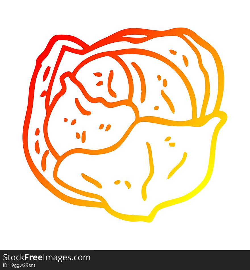 warm gradient line drawing cartoon cabbage