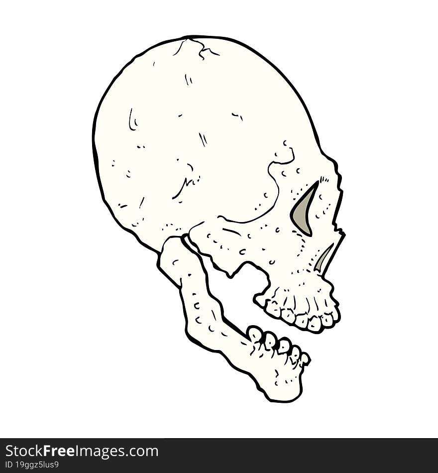 Skull Illustration