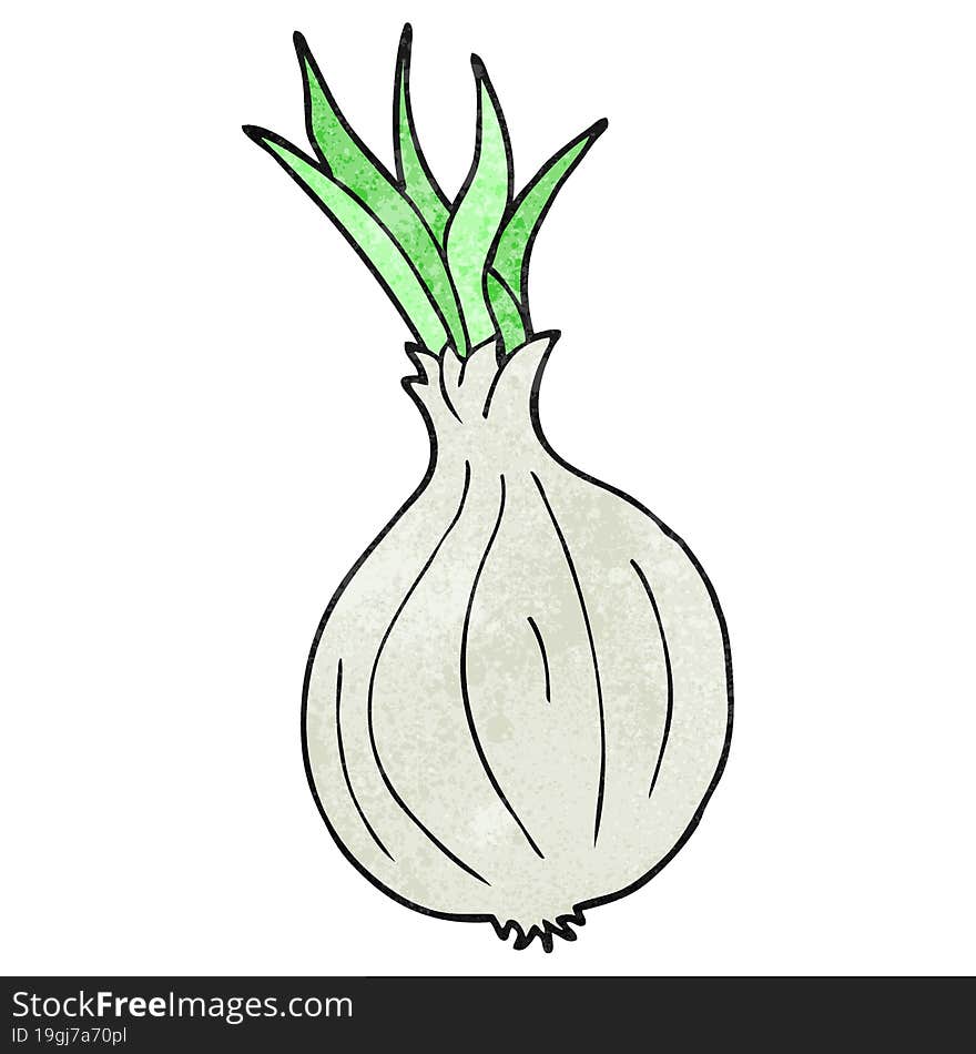 Textured Cartoon Onion