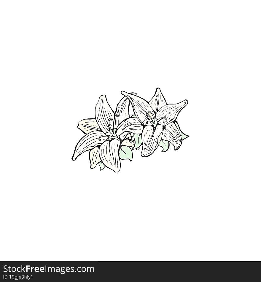 Flowers Illustration