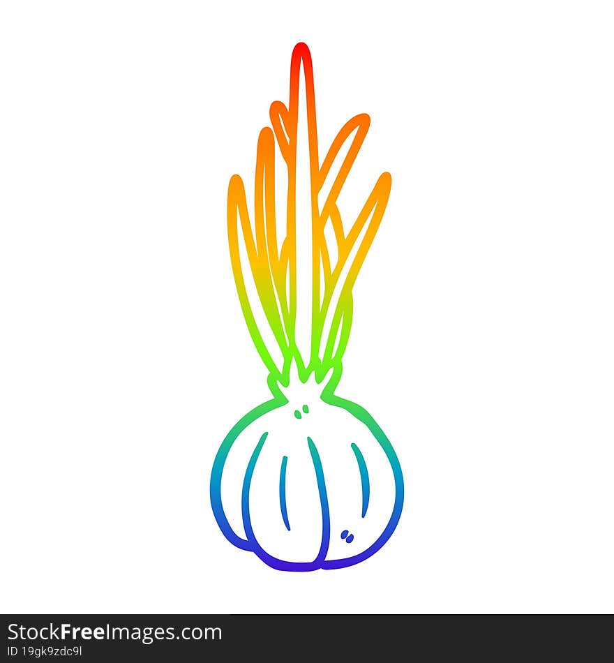 rainbow gradient line drawing garlic bulb