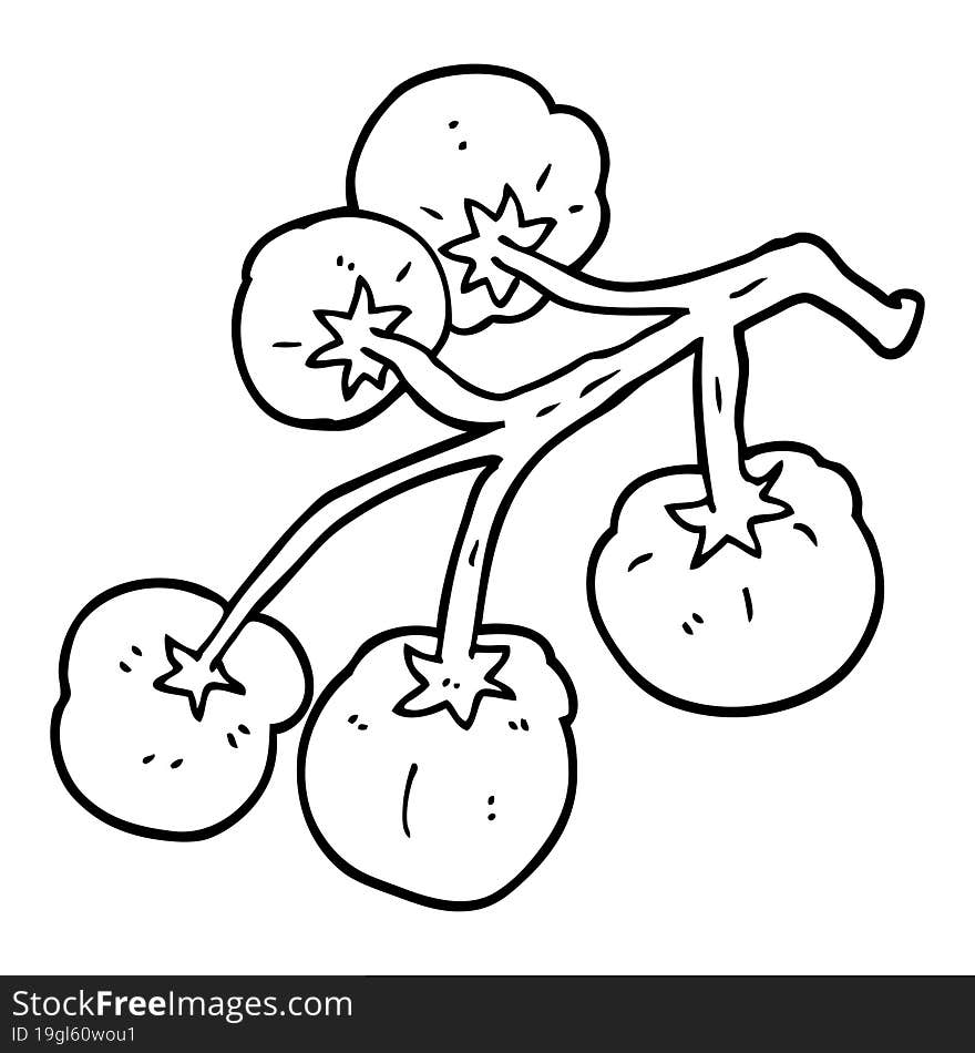 line drawing cartoon tomatoes on vine