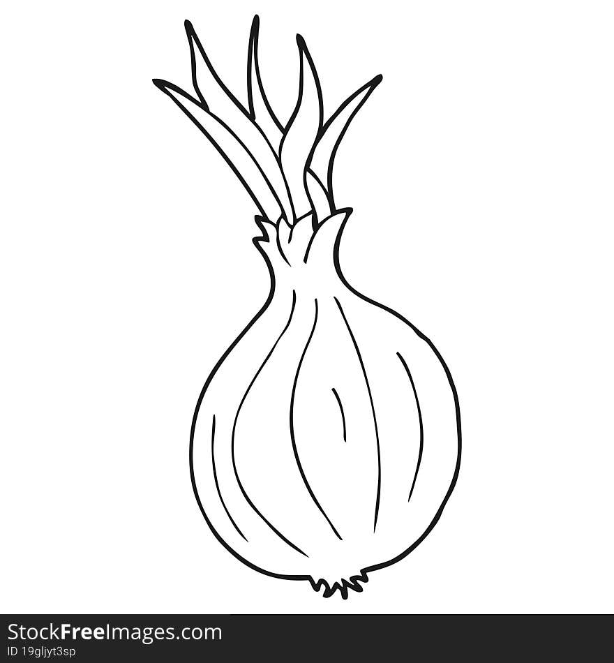 freehand drawn black and white cartoon onion