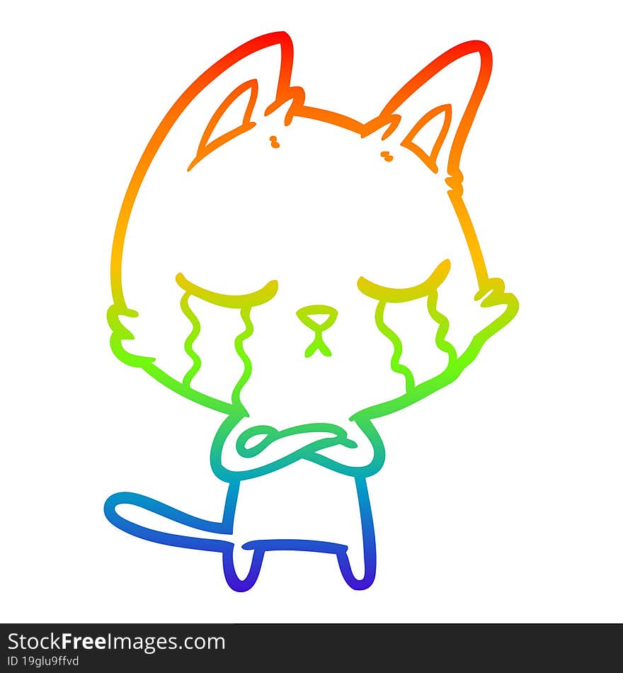 rainbow gradient line drawing crying cartoon cat