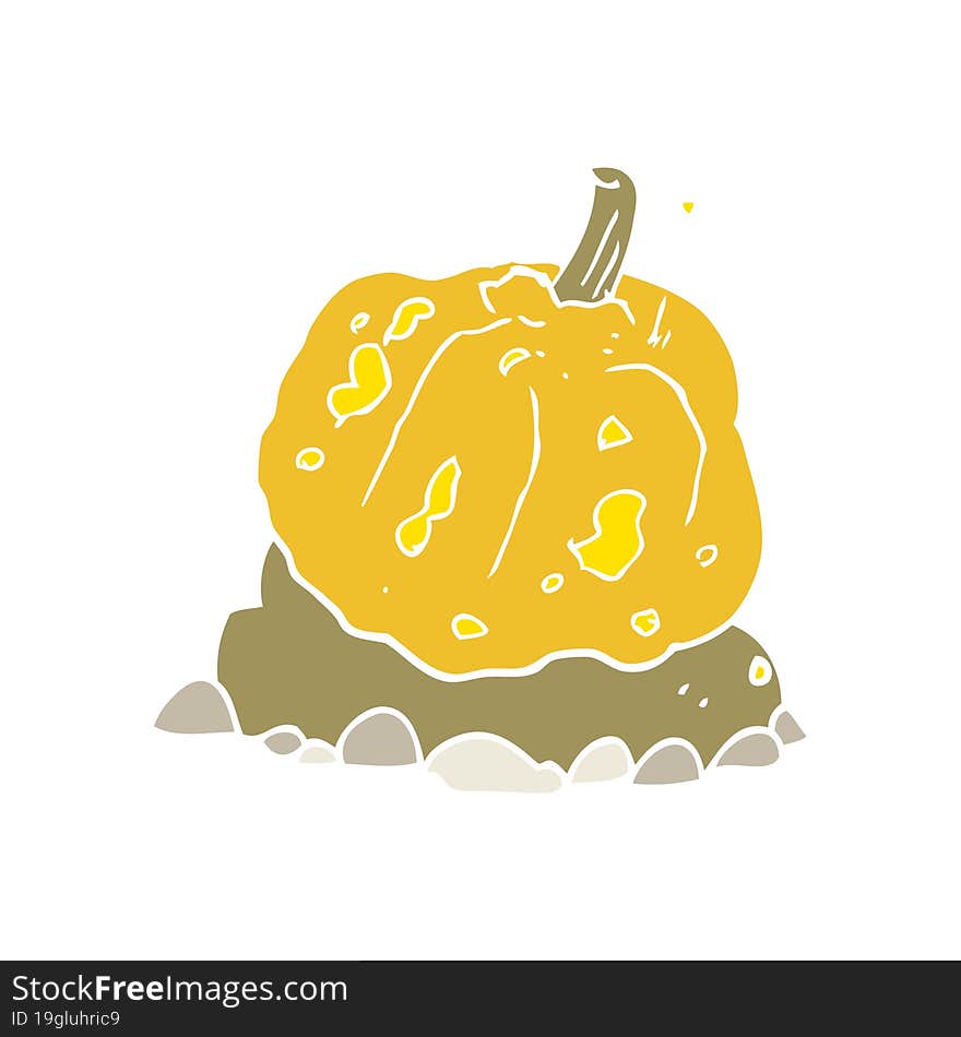 flat color illustration of squash. flat color illustration of squash