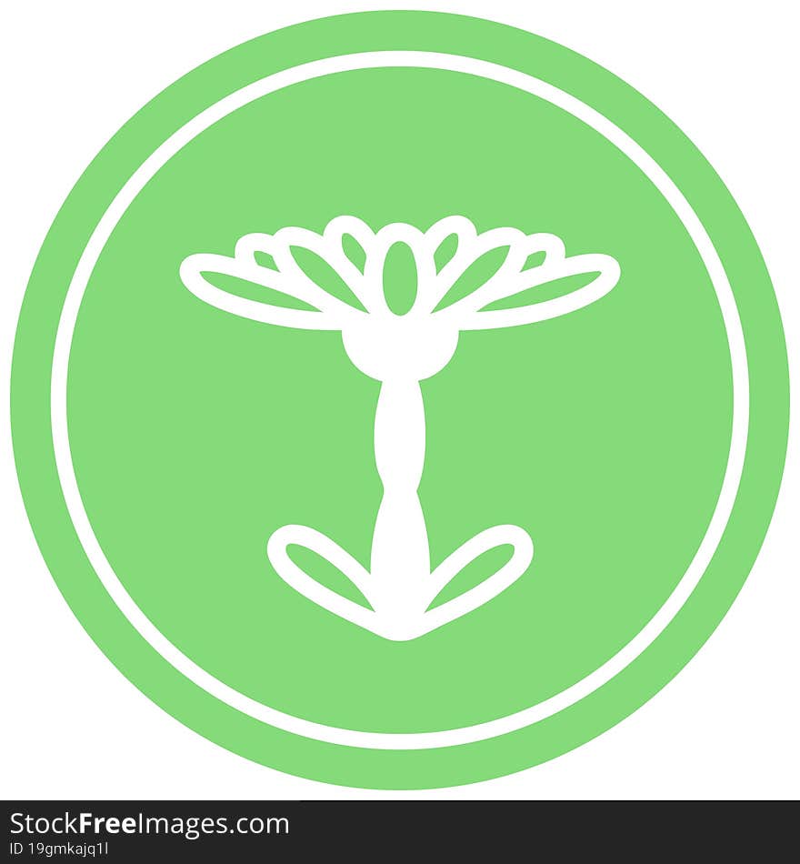 blooming flower circular icon symbol