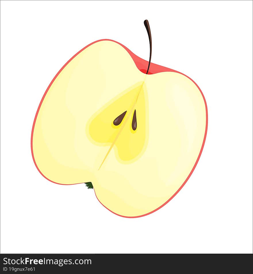 Cut the apple in half. Realistic  illustration isolated on white background. Half an apple. Vector illustration isolated on