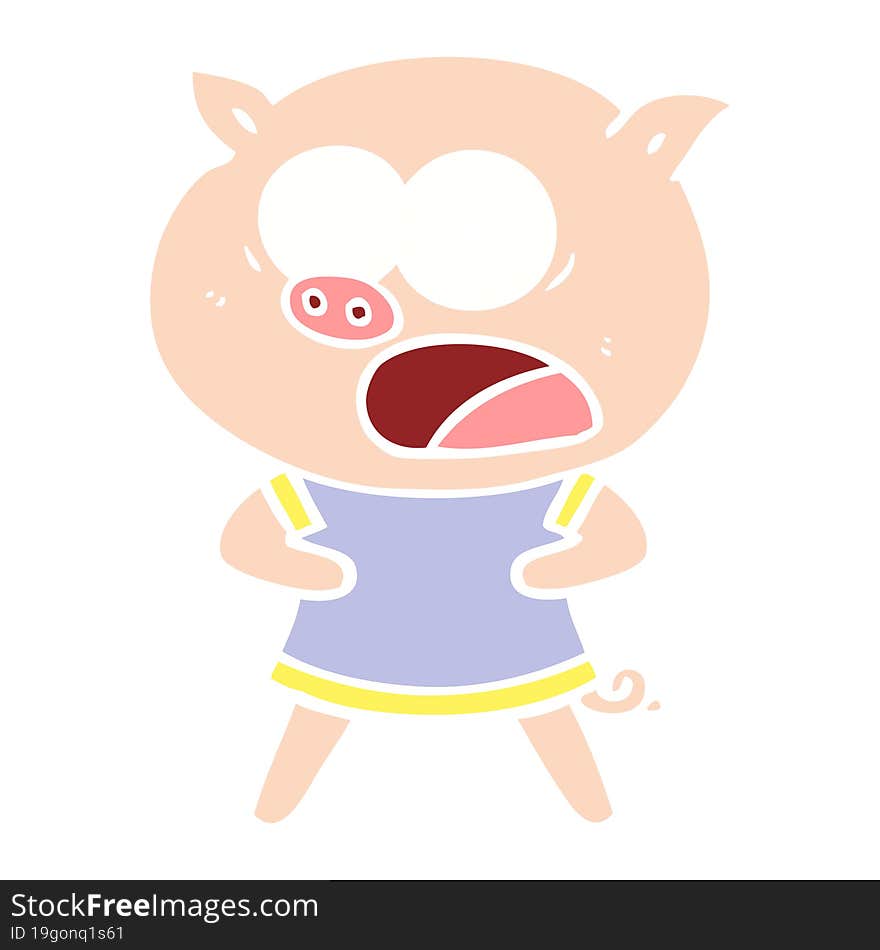 flat color style cartoon pig shouting