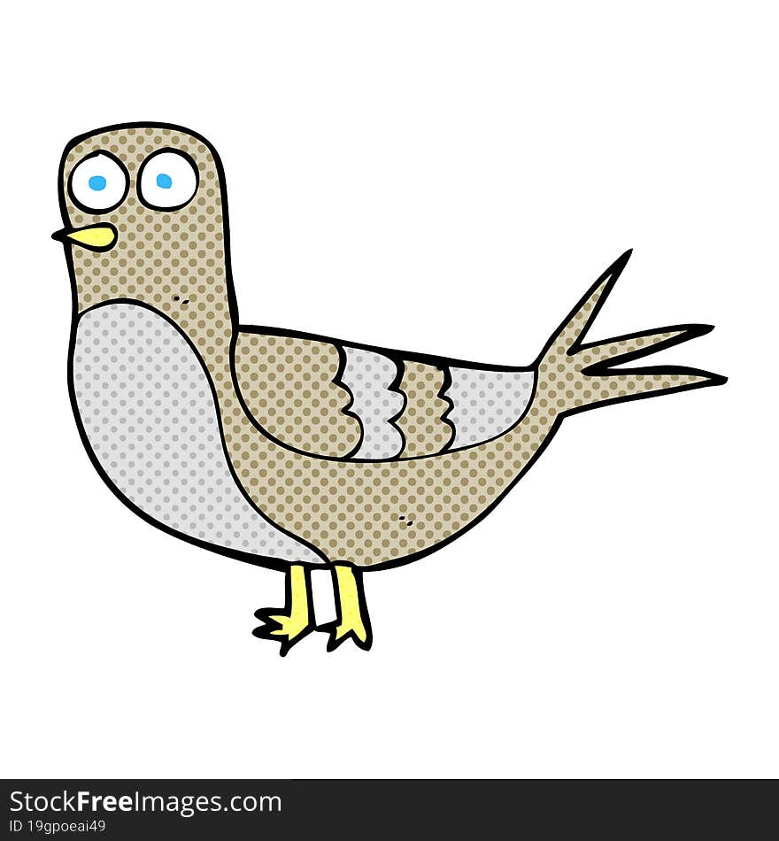 Cartoon Pigeon