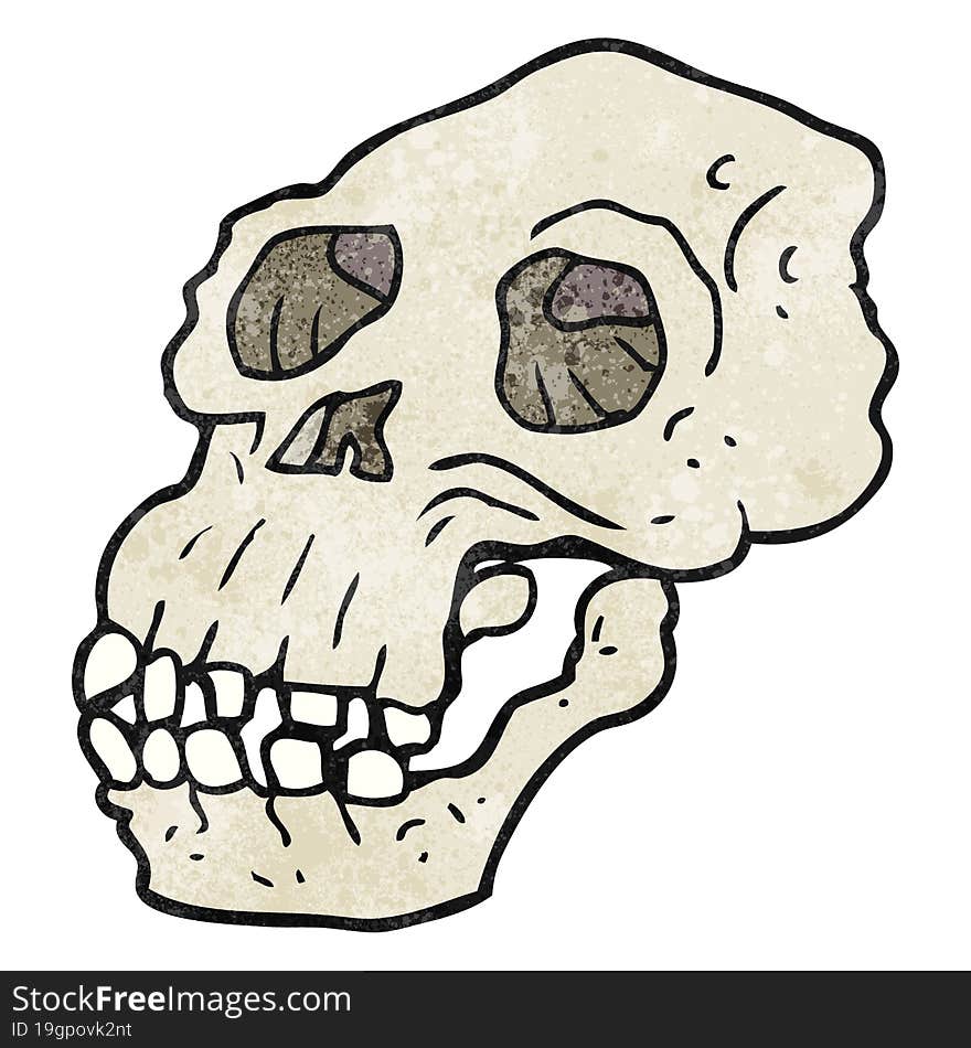 textured cartoon ancient skull