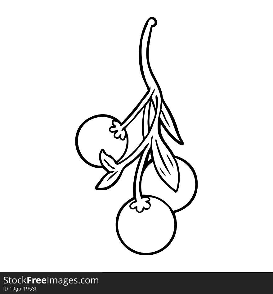 line drawing of a mistletoe. line drawing of a mistletoe